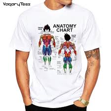 Dragon Ball Z Vegeta Muscle Diagram T Shirt
