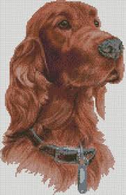 Cross Stitch Chart Or Complete Kit Irish Setter Dog Whistler