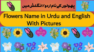 flowers name in urdu english with pics