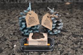Making A Pinecone Fire Starter The