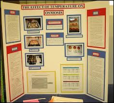 Science Fair Project Boards Example Science Fair Projects