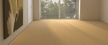 methods of carpet cleaning