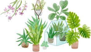 plants a to z find plant names by letter