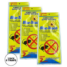 blue touch sticky mouse traps large