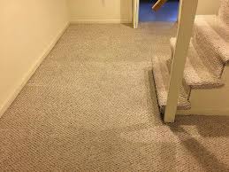pet urine removal from carpets