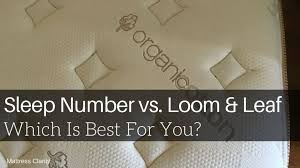 Temperature balancing layers and cooling memory foam complete your sleep experience. Sleep Number Vs Loom Leaf Which Is Best For You Mattress Clarity