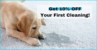 carpet cleaning in san go ca