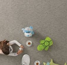 professional carpet cleaning services