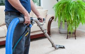carpet upholstery rug cleaning