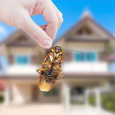 how to get rid of roaches in your home