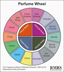 Perfume Wheel Infographic