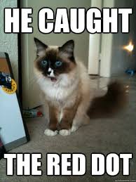 Amazed Cat memes | quickmeme via Relatably.com