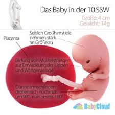 22 Best Ssw Schwangerschaftskalender Images Pregnancy Weeks
