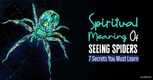 spiritual meaning of seeing spiders 7