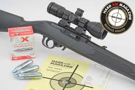ruger 10 22 air test review