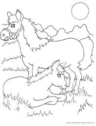 Horse Coloring Page Kinderart