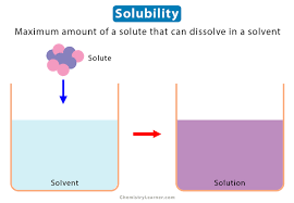 Solubility Definition Examples And