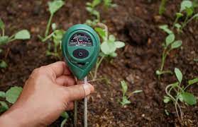 soil moisture meters for your plants
