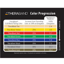 Theraband Chart Theraband Exercise Ball Pro Series