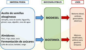 Resultado de imagen de biocombustible para primaria