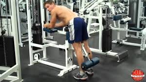 how to standing leg curl bm you