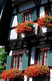Hotel schiefes haus ulm is an excellent choice for travellers visiting ulm, offering a romantic environment alongside many helpful amenities designed to enhance your stay. Hotel Hotel Schiefes Haus Deutsch