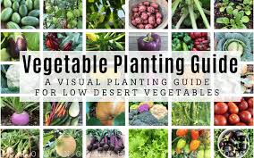 arizona vegetable planting guide a
