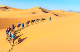 sahara desert tour