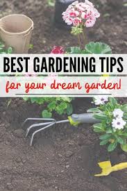 Gardening Tips To Help You Have The