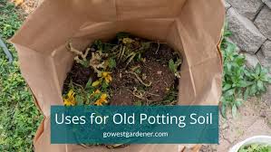 What To Do With Old Potting Soil The