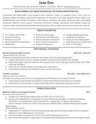 Sample Computer Resume Resume Pro