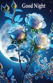 Good Night everyone 😴 Sweet dreams 😴😊🌹♥️🙏 - Awesome Flowers. | Facebook