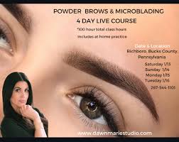 powder brows microblading 4 day live