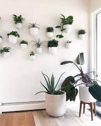Plant Wall Decor Plant Decor Indoor