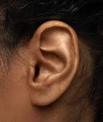 earlobe repair mclean potomac