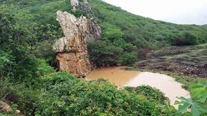 Resultado de imagem para imagens de juru - pb