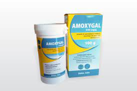PharmaGal : AMOXYGAL 510 mg/g, proszek do sporządzania roztworu doustnego  dla świn i kur