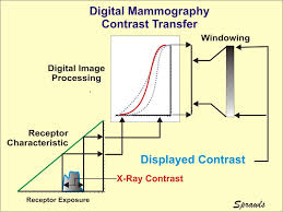 The Physics And Technology Of Mammography