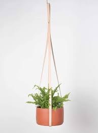 best hanging plants and planters the