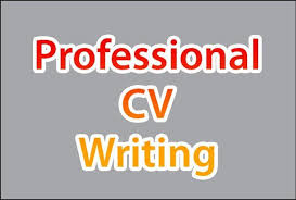        Example Academic CV     Search Consultancy
