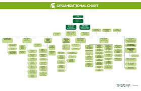 Organizational Chart Joanna Young