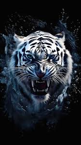 White Tiger Angry Iphone Wallpaper