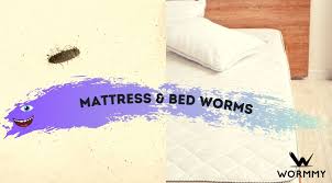 Mattress Bed Worms Causes How To
