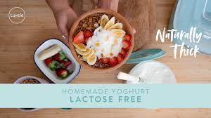 homemade lactose free yogurt in a