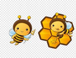 queen bee insect cute bee honey bee