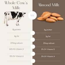 cow milk vs almond milk a nutrition