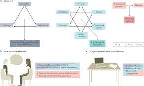 An overview of and recommendations for more accessible digital mental  health services | Nature Reviews Psychology