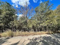 bastrop county tx wooded land