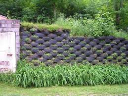 Recycled Tire Retaining Wall Amazing