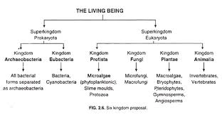 The Kingdom System Of Organisms Classification Top 6 Concepts